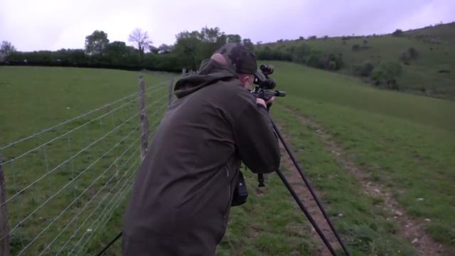 How to spot foxes and deer with thermal: practicalities and pitfalls смотреть онлайн