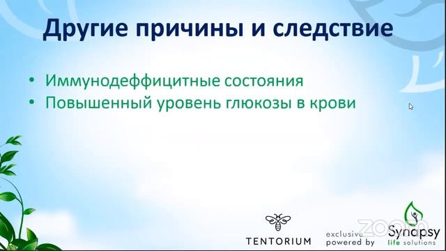 Грибковые заболевания