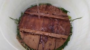 СОЛЕНЫЕ ОГУРЦЫ В БОЧКЕ. Идеальный рассол!?