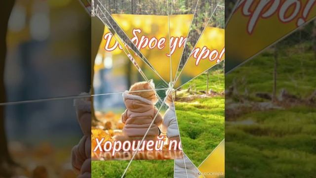 Slideshow__305_20230926_5AuEMY.mp4