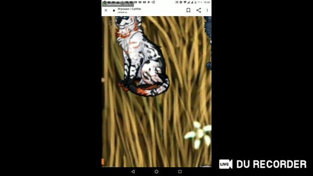 качаем ВД и ищем корм в CatWar