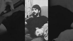 Armo Araqelyan_ Доза доза