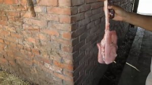 Разделка барана , Костанай , Валихан , ПоДрОбНыЙ РассКаз