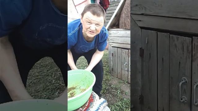 Скумбрия горячего копчения в собственной коптильни у себя на даче. смотреть онлайн