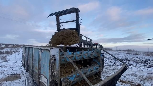 Три трактора мтз 82 работают на ферме.Беларус раздает сенаж по базам.Совхоз АО„ВОСТОК“ смотреть онлайн