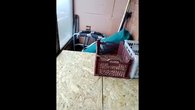 Строим для россады стилаж на балконе! смотреть онлайн