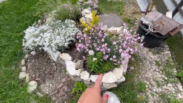 Посадила ещё огурцы Купила ещё цветов Подарили подарки Заказала горшок смотреть онлайн