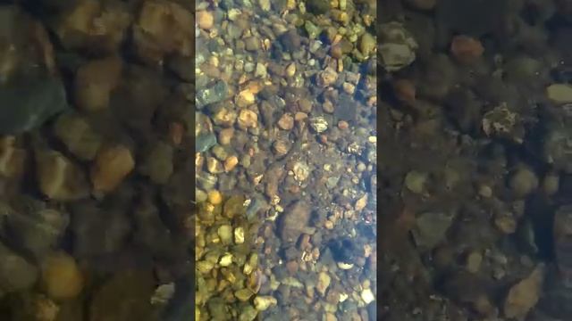 Щиповка смотреть онлайн