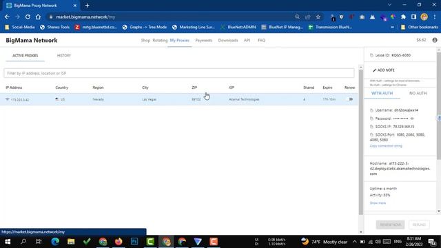 ফুল সেটআপ | Bigmama Proxy best proxy for survey | Bigmama Proxy Full Setup 2023 | Make Money Online смотреть онлайн