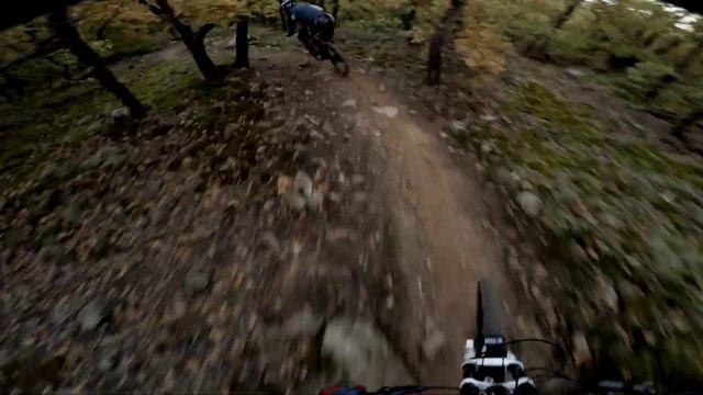 Алушта. Трейлы "Кастель" и "Мховый". смотреть онлайн