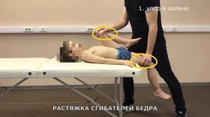 Базовые растяжки при миодистрофии Дюшенна