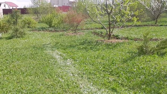 Весна в саду ч.1 смотреть онлайн
