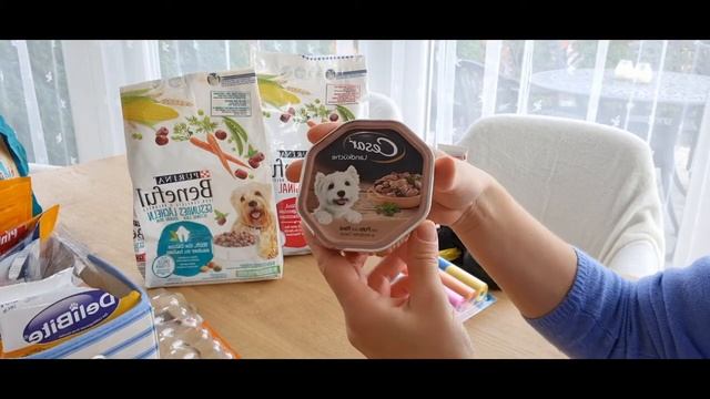 Питание и уход за породой Шпиц померанский. смотреть онлайн