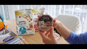 Питание и уход за породой Шпиц померанский.