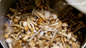 КАК ПРИГОТОВИТЬ ОПЯТА   ГОТОВИМ ВМЕСТЕ