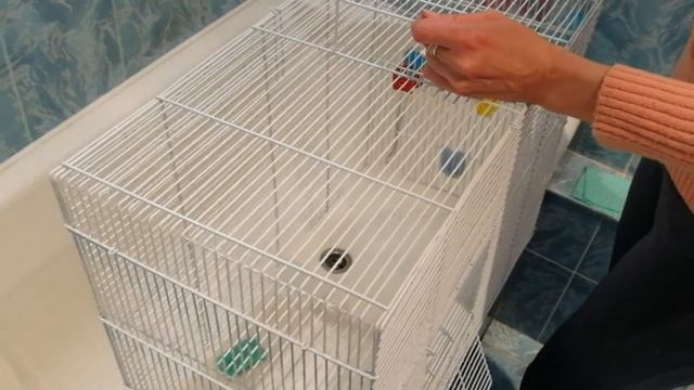 Уборка в клетке у крыс. Быстро и просто. смотреть онлайн