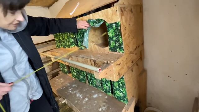 Все просят размеры моих гнезд со скатом яиц в яйцеприемник смотреть онлайн