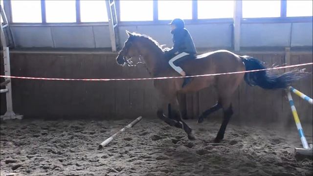 Шпрингарт Июнь 2019 смотреть онлайн