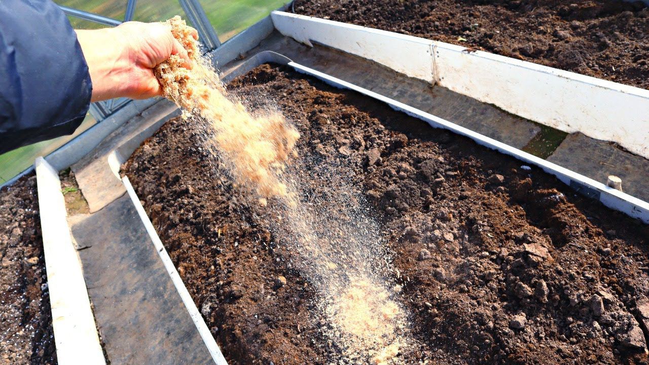 Чтобы земля в теплице была плодородной и воздушной как пух вношу это с осени. смотреть онлайн