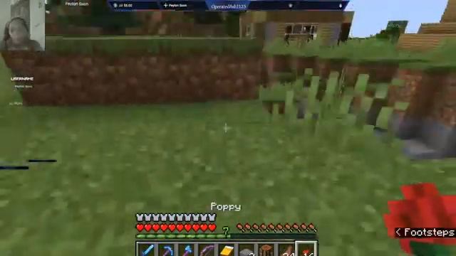 Minecraft Realm Java Edition смотреть онлайн