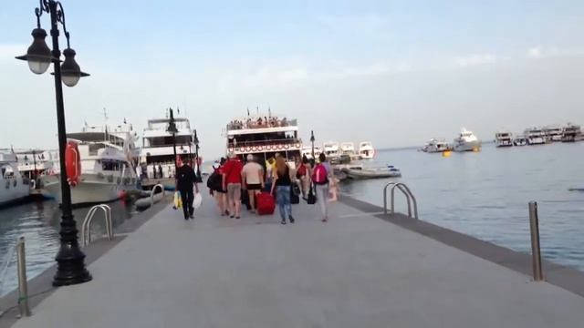 Вся правда о дайвинге и фридайвинге смотреть онлайн