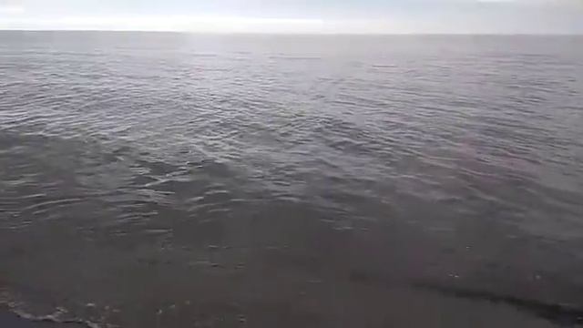 Чудское озеро Гдов смотреть онлайн