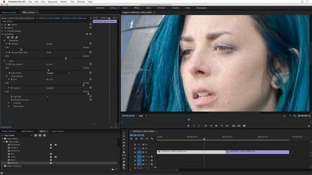 Magic Bullet Renoiser Tutorial смотреть онлайн