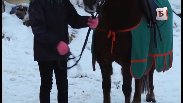 НОВОСТИ БОГОРОДСКА(А НУ-КА ПАРНИ) 248 ВЫПУСК. смотреть онлайн