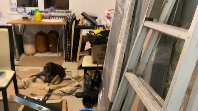 349❤️Презентация нашей спальни в доме на Кубани. Нескончаемая уборка. Куда пропала Кегля. Где Алиса смотреть онлайн