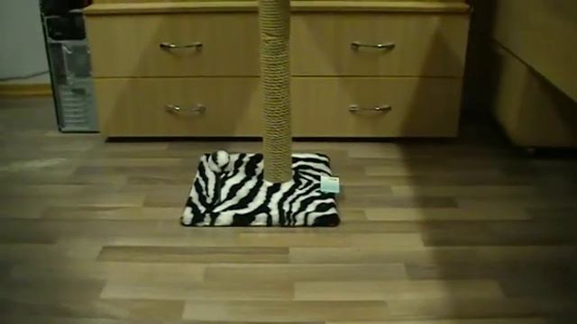 Когтеточки смотреть онлайн