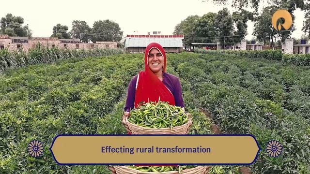 RIL - Creating Exponential Value for over a Billion Indians смотреть онлайн