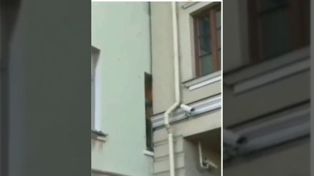 Продажа топ квартиры смотреть онлайн