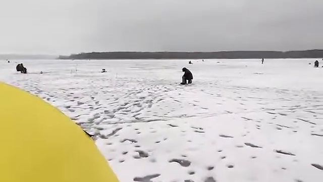 Рыбалка на Осколе. 08.01.2017. Пшеницкий и Ко смотреть онлайн