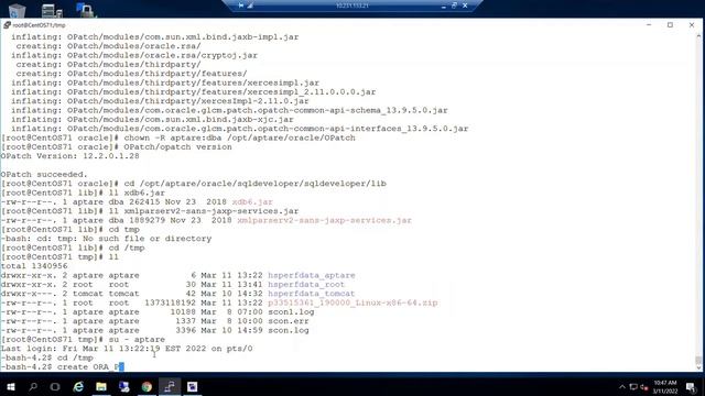 NetBackup IT Analytics Foundation: Linux-Apply Oracle Quarterly Patchset смотреть онлайн