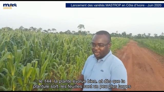 2020 - Lancement de MASTROP : Variétés de maïs MAS Seeds Côte d'Ivoire смотреть онлайн