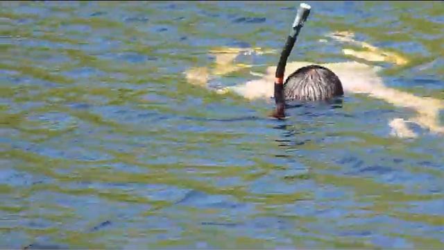 ТРИ РУЧЬЯ смотреть онлайн