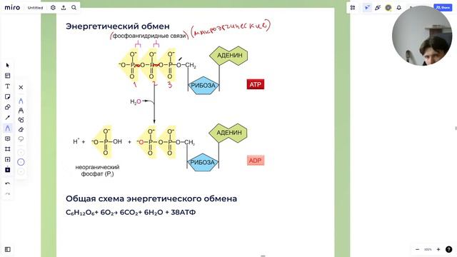 НА ПРЕДЕЛЕ ПО БИОЛОГИИ | 