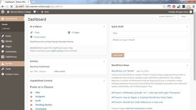 WP Dev Tutorials: Login & Profile смотреть онлайн