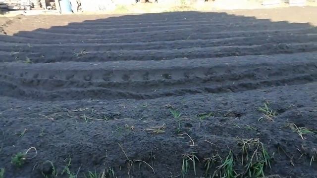 Вспахали участок. смотреть онлайн