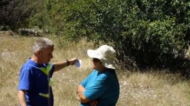 ТАЙНА ЖИЗНИ. смотреть онлайн