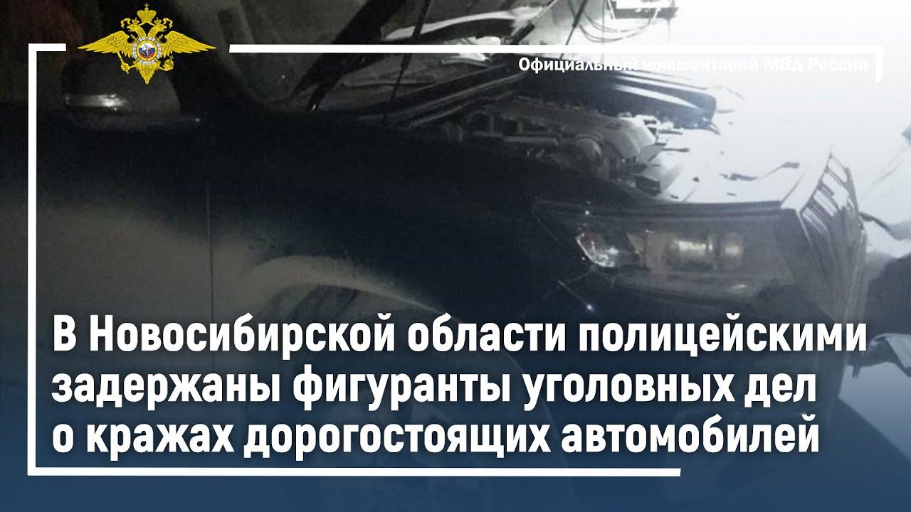 Ирина Волк: В Новосибирской области задержаны фигуранты уголовных дел о кражах автомобилей смотреть онлайн
