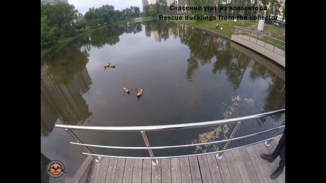Санни смена, тренировка, поиск в завале смотреть онлайн