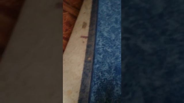 Не советую чистить ковры в Каусаре смотреть онлайн