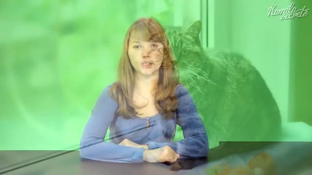 Техника безопасности при изготовлении мыла с нуля  - Kamila-Secrets Выпуск 22