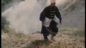 Дикое поле (1991) фильм