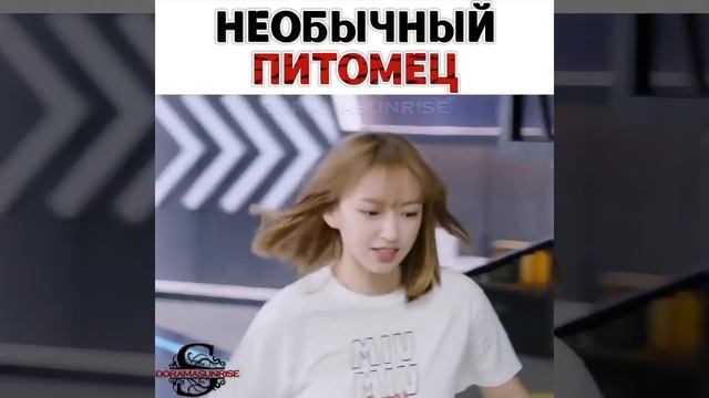 Дорама: Влюбиться в твою улыбку смотреть онлайн