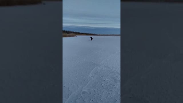 Канал Сатпаева 154 км 6 шука смотреть онлайн