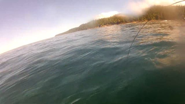 65 pound Halibut off the rock Pile Renfrew BC смотреть онлайн