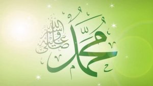 Красивый нашид Аминтаза