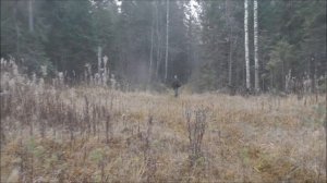 Охота с РГ Зарёвом ВПКОС 4175/14 вл. Синицын И.И.